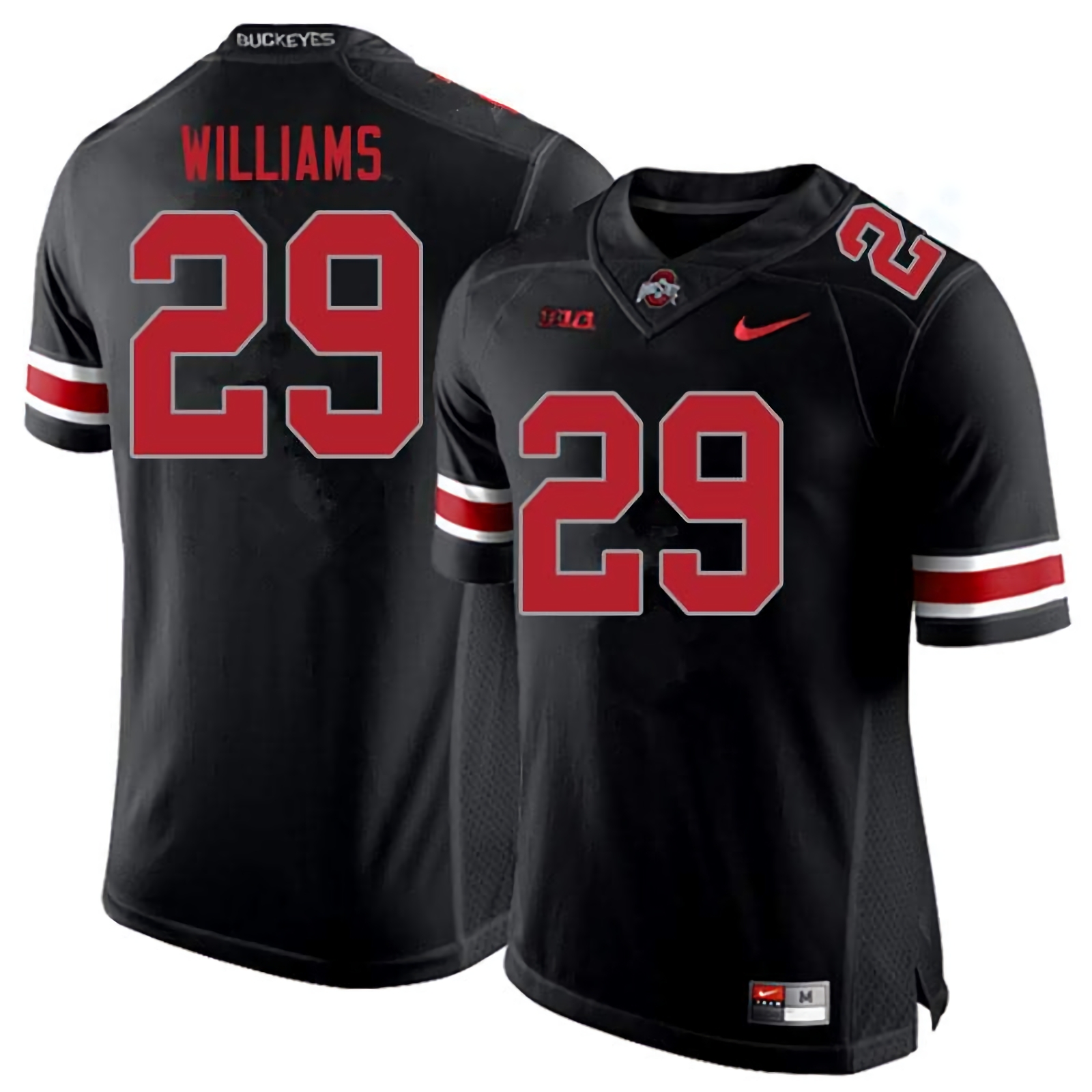 Kourt Williams Ohio State Buckeyes Men's NCAA #29 Nike Blackout College Stitched Football Jersey MGU4156BC